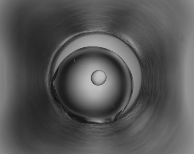 X0000093250532200710101442