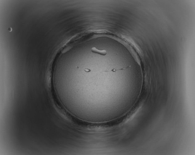 X0000093250533200710101442