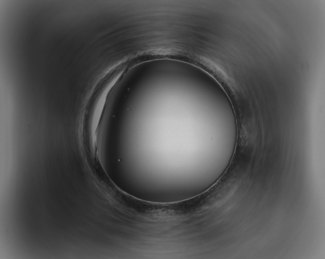 X0000093250535200710101442