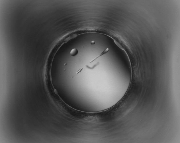 X0000093250536200710101442