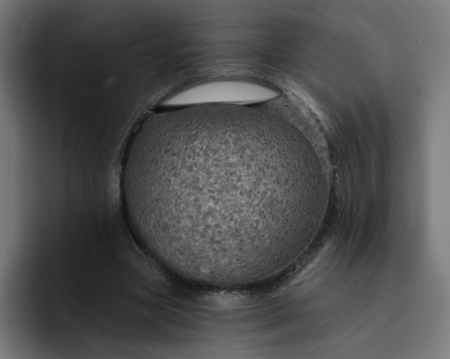 X0000093250537200710101442