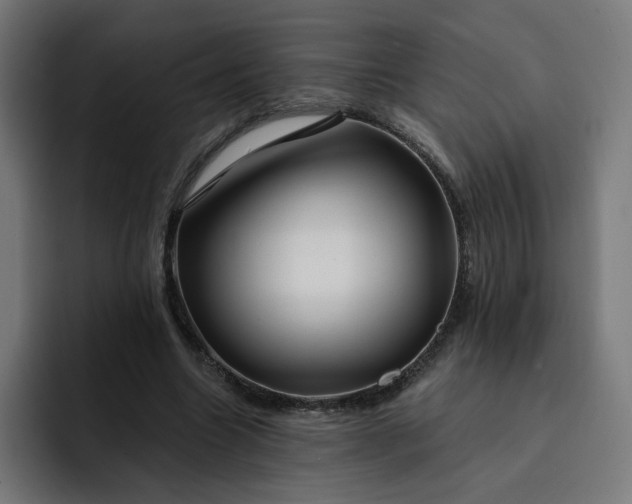 X0000093250538200710101442