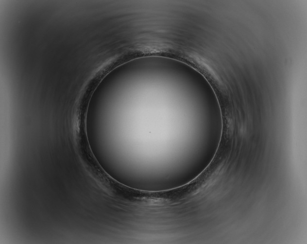 X0000093250539200710101442