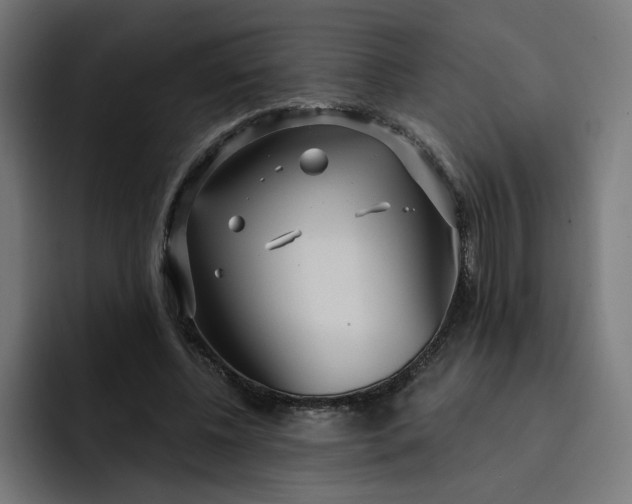 X0000093250540200710101442