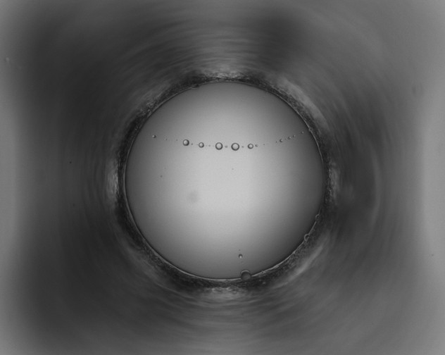 X0000093250541200710101442