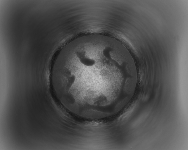 X0000093250542200710101442