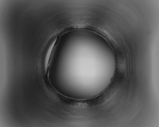 X0000093250543200710101442