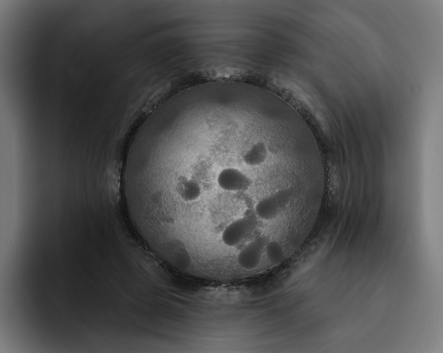 X0000093250545200710101442