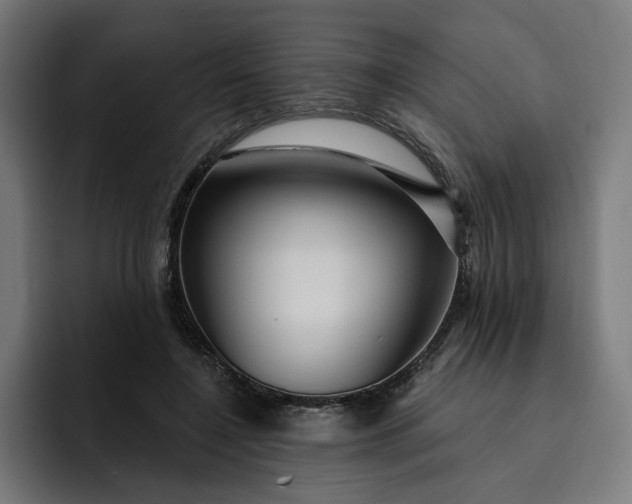 X0000093250548200710101442