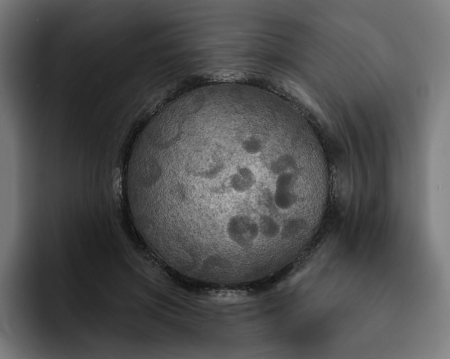 X0000093250549200710101442