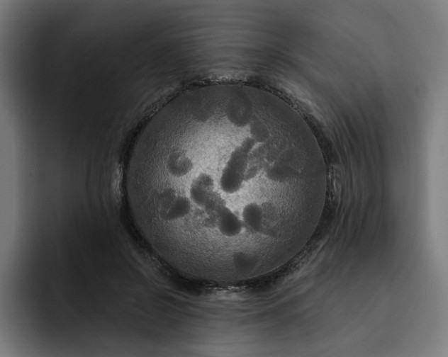 X0000093250550200710101442