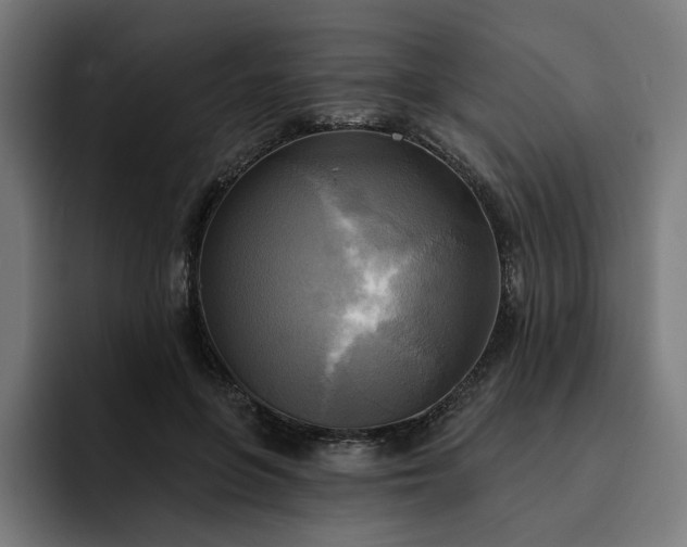 X0000093250551200710101442