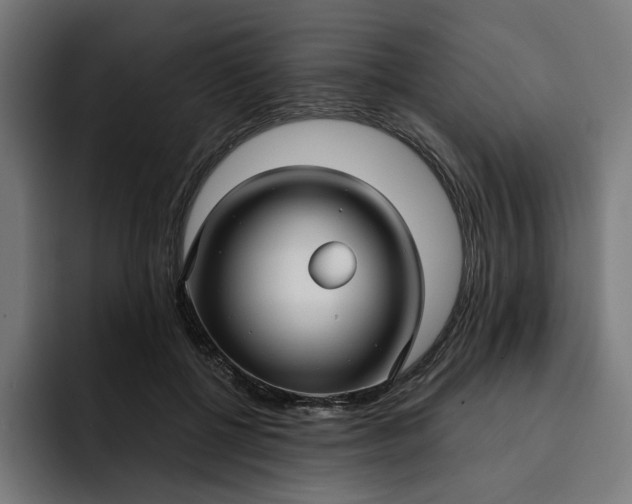 X0000093250552200710101443