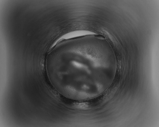 X0000093250553200710101443