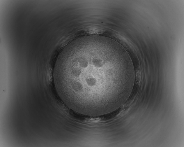 X0000093250554200710101443