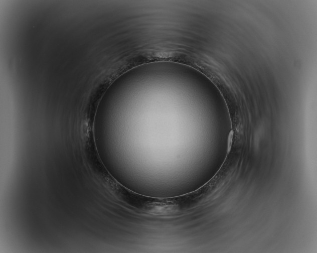 X0000093250555200710101443