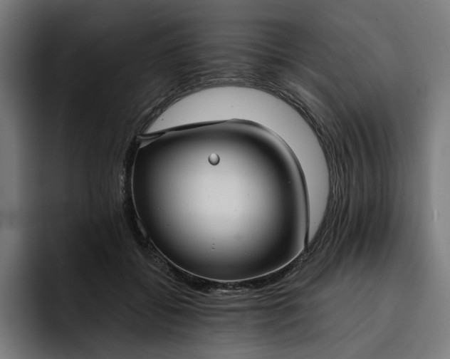 X0000093250556200710101443