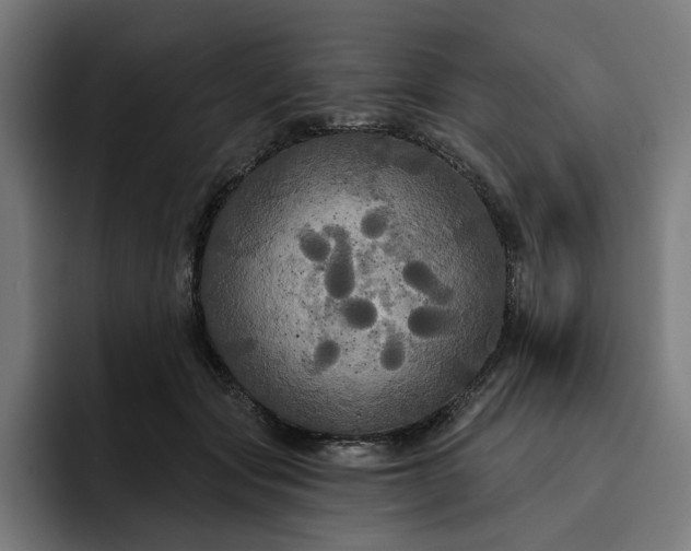 X0000093250557200710101443