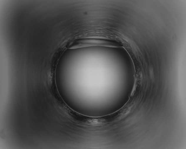 X0000093250558200710101443