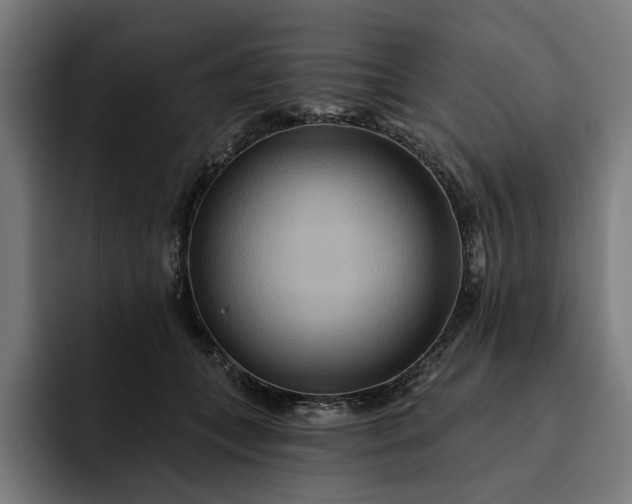 X0000093250559200710101443