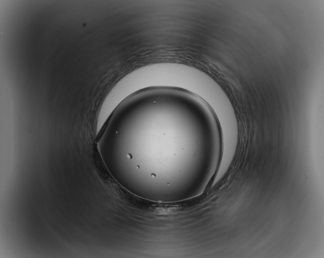 X0000093250560200710101443