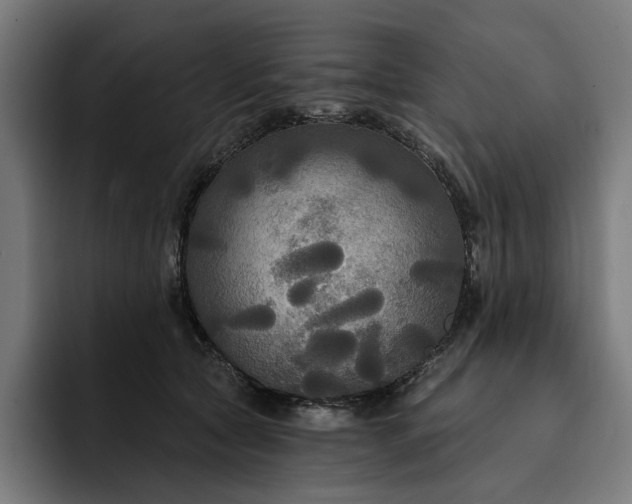 X0000093250561200710101443