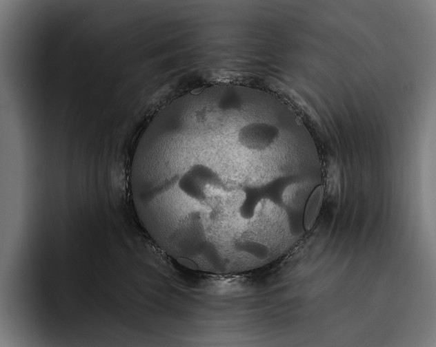 X0000093250569200710101443