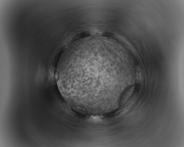 X0000093250573200710101443