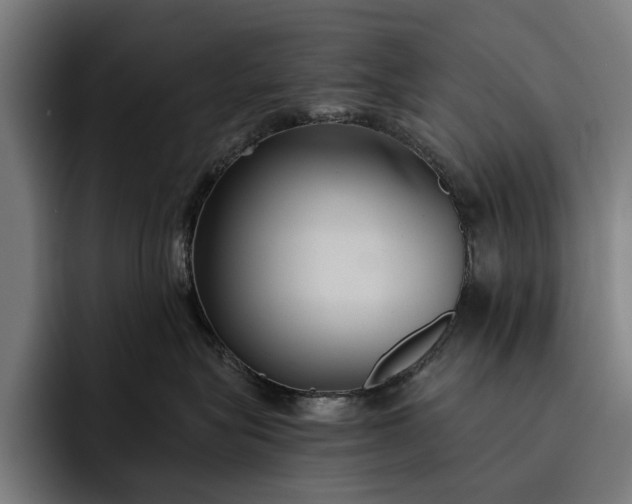 X0000093250575200710101443