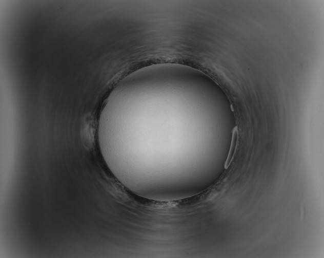 X0000093250576200710101443