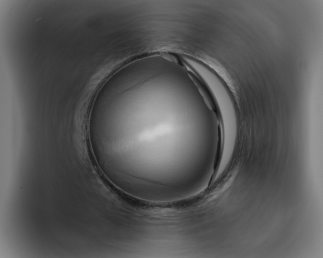 X0000093250577200710101442