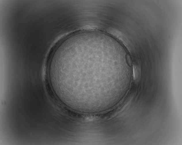 X0000093250579200710101442