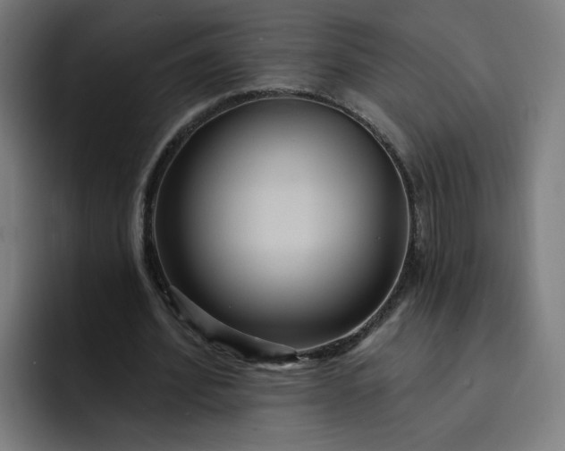 X0000093250580200710101442