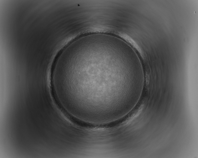 X0000093250581200710101442