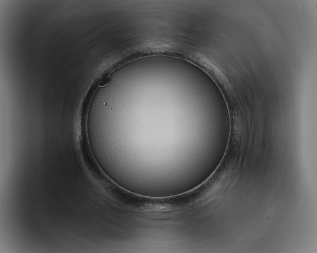 X0000093250582200710101442