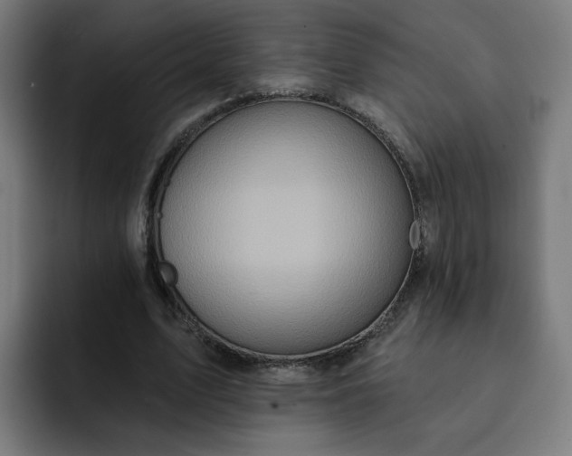 X0000093250583200710101442