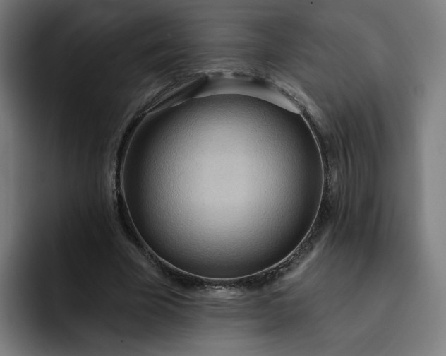 X0000093250585200710101442