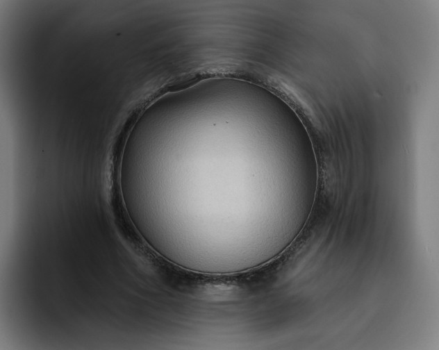 X0000093250586200710101442