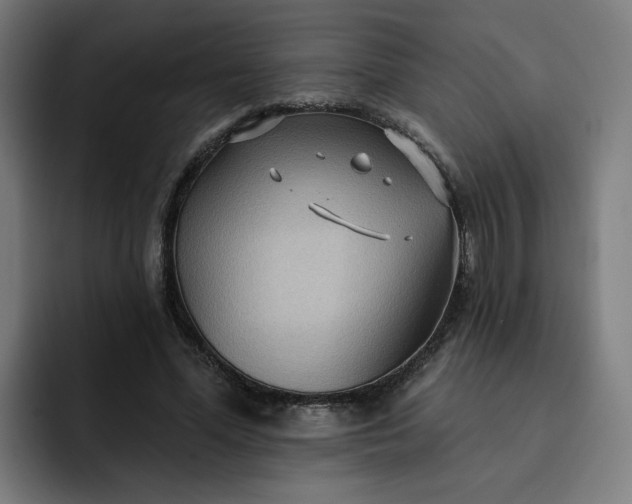 X0000093250588200710101442