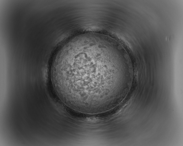 X0000093250591200710101442