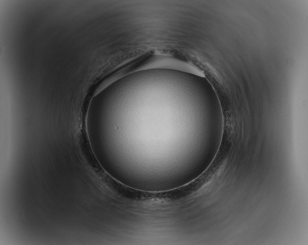 X0000093250593200710101442