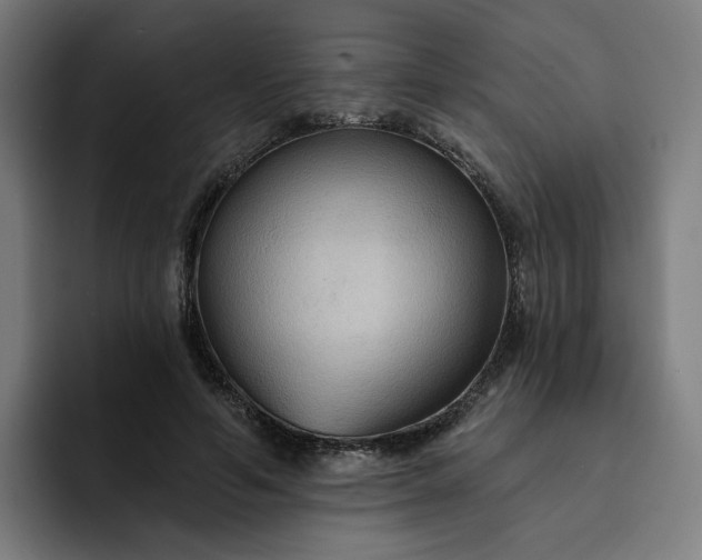 X0000093250594200710101442