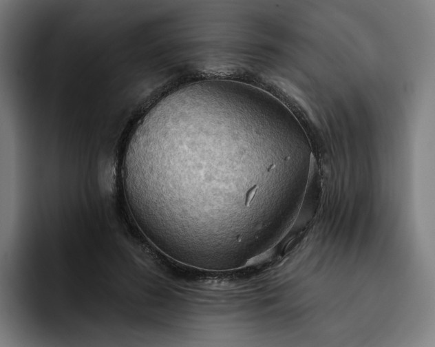 X0000093250596200710101442