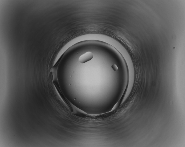 X0000093250597200710101442