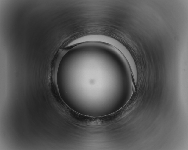 X0000093250600200710101442