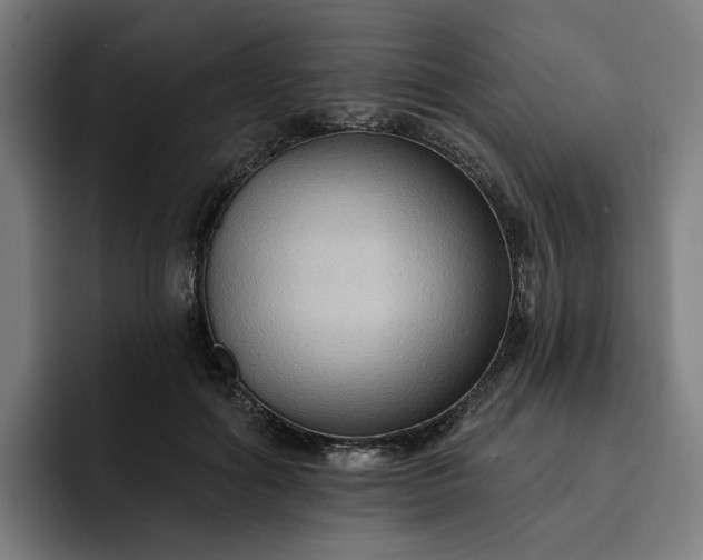 X0000093250602200710101442