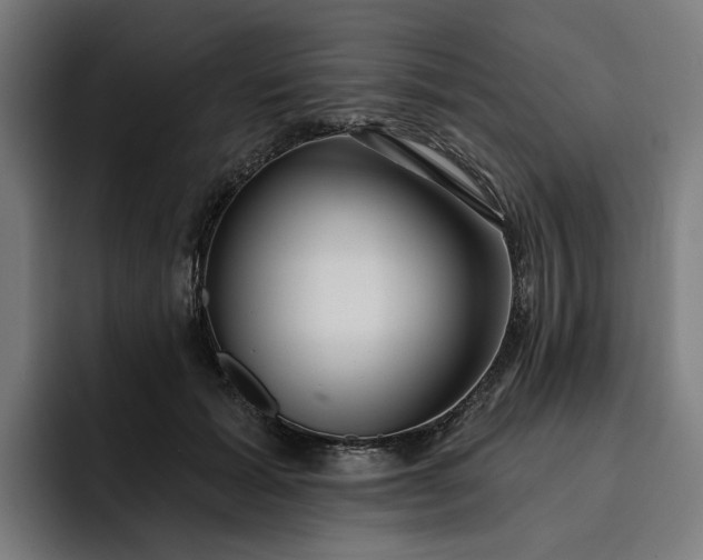 X0000093250605200710101442