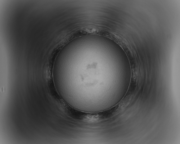 X0000093250606200710101442