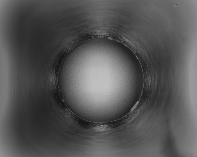 X0000093250609200710101442