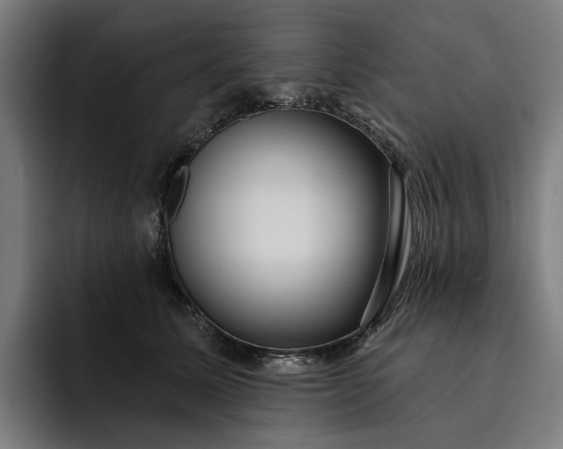 X0000093250611200710101442